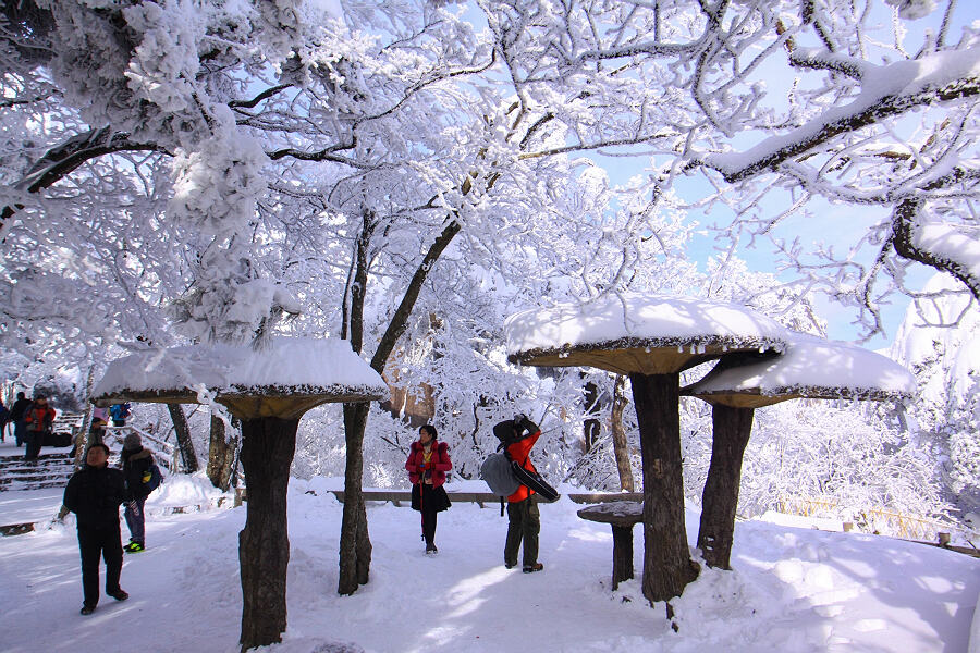 黄山雪