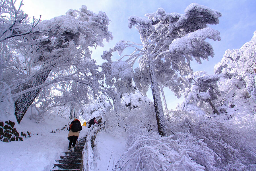 黄山雪