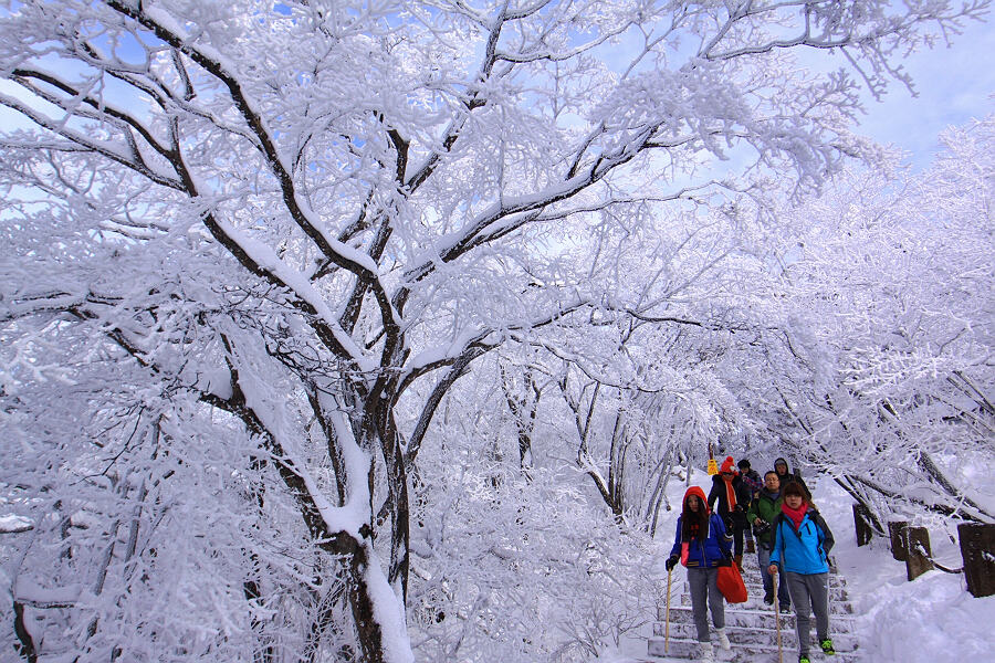 黄山雾淞