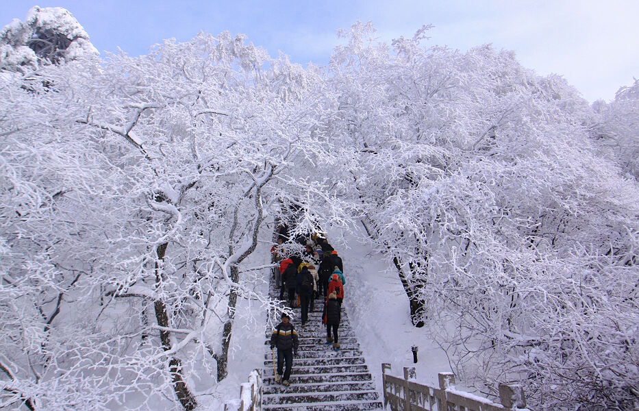 黄山雾淞