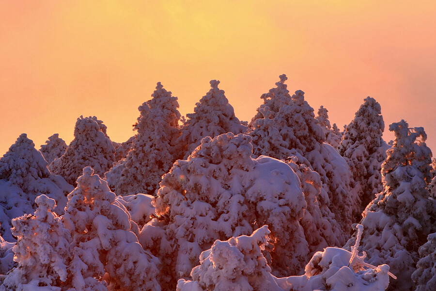 雪后黄山