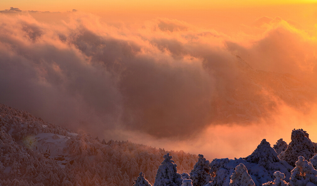 雪后黄山