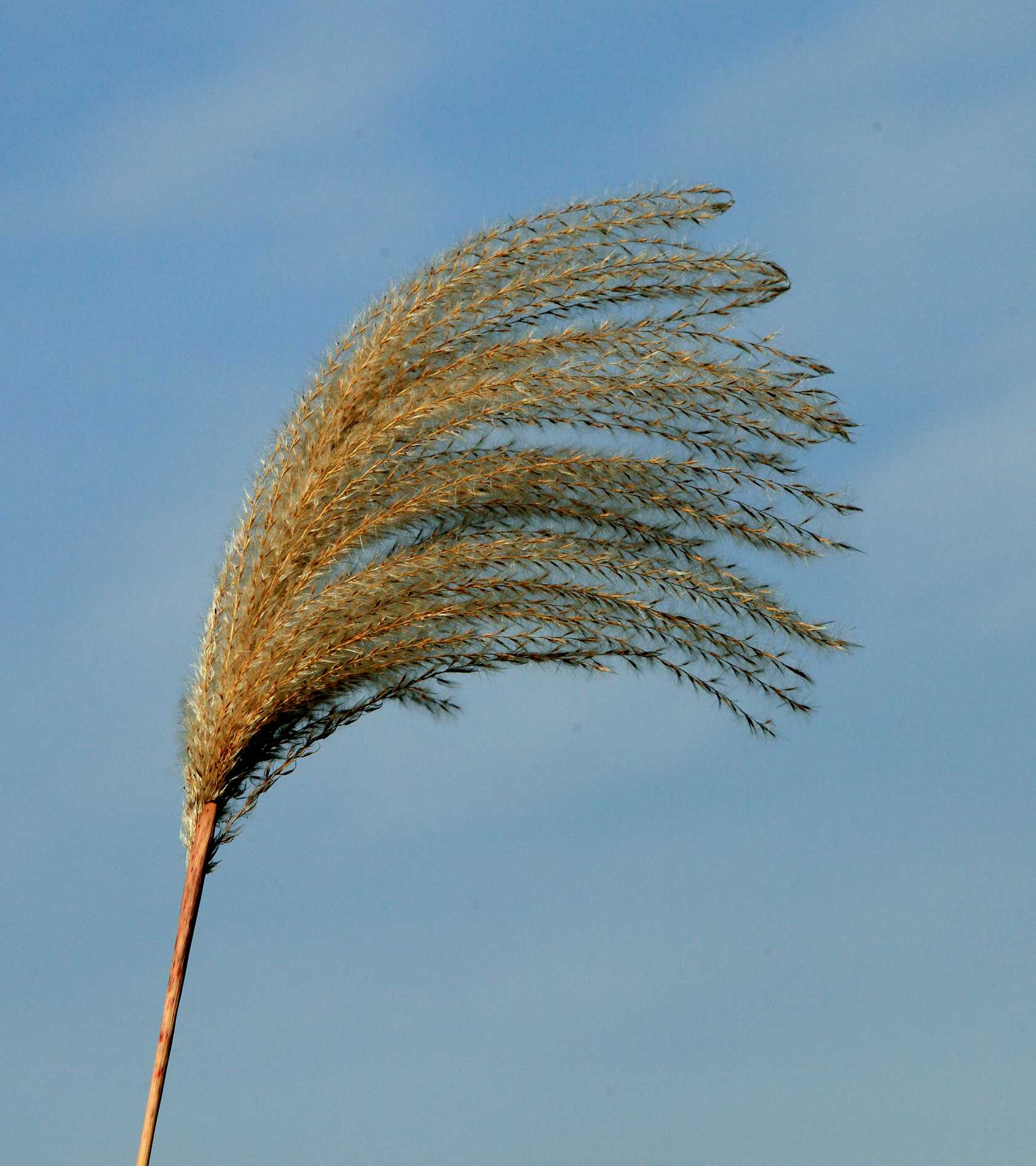 㾁拍花一组