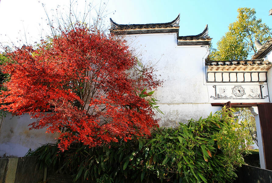 醉美乡村