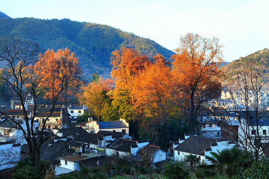 醉美乡村