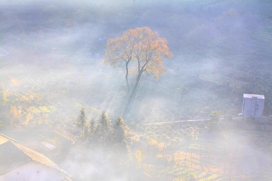 梦幻石城