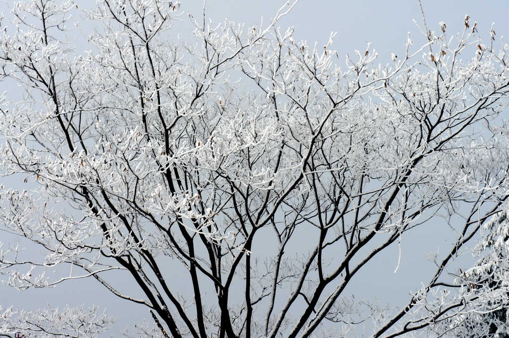 童话世界         濮上雪景