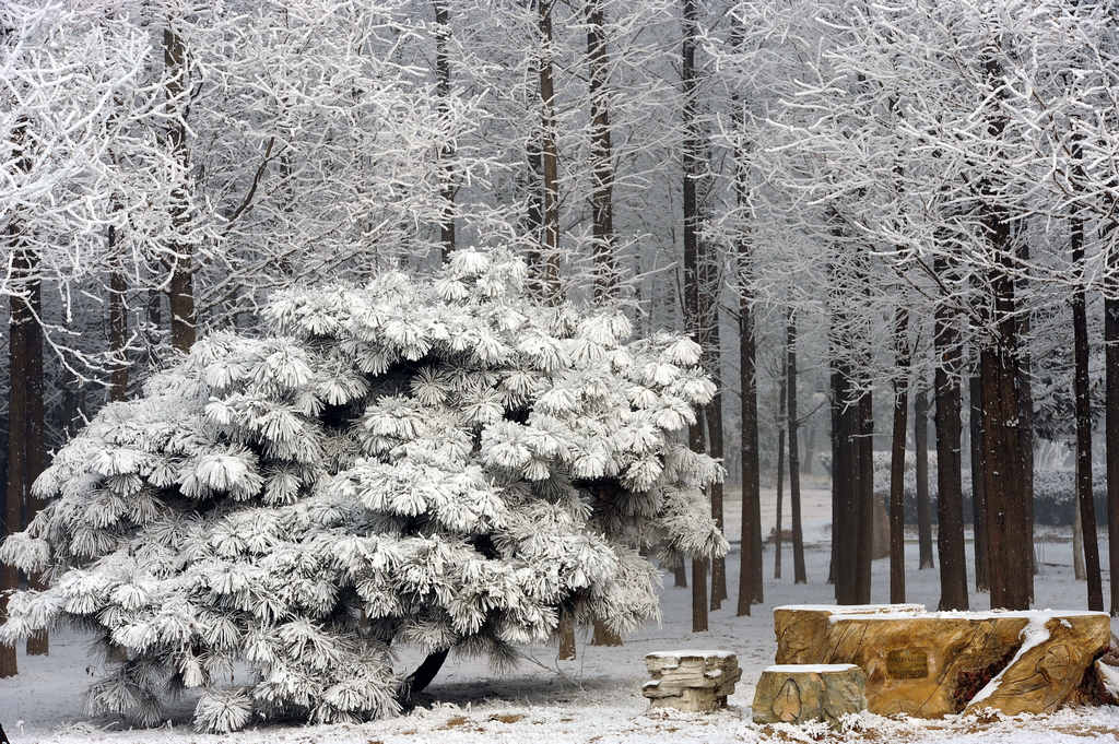 童话世界         濮上雪景