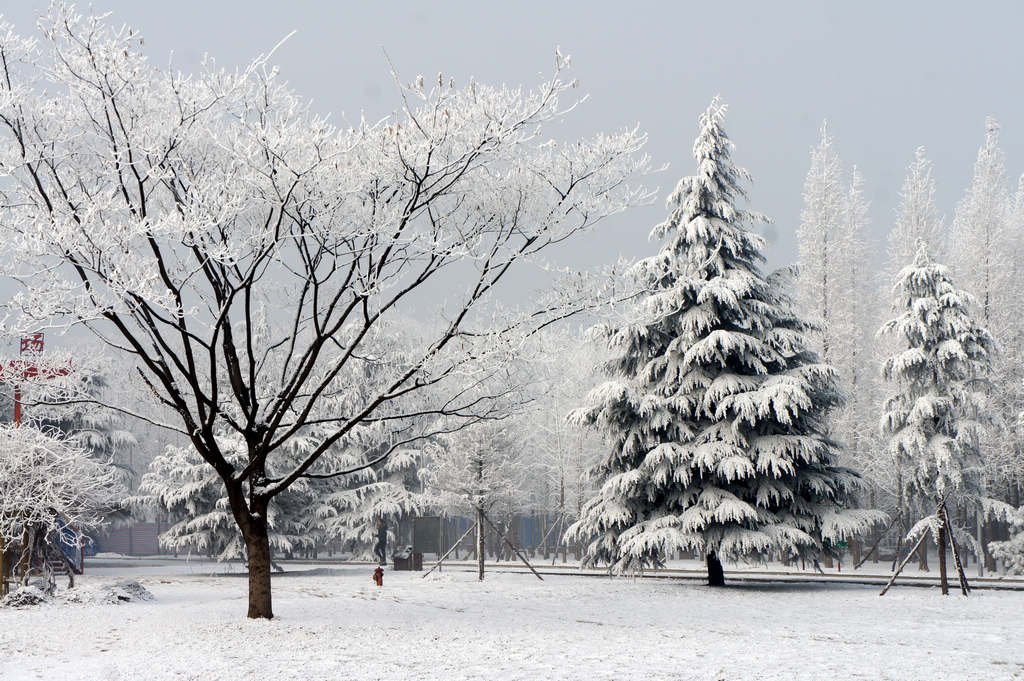 童话世界         濮上雪景