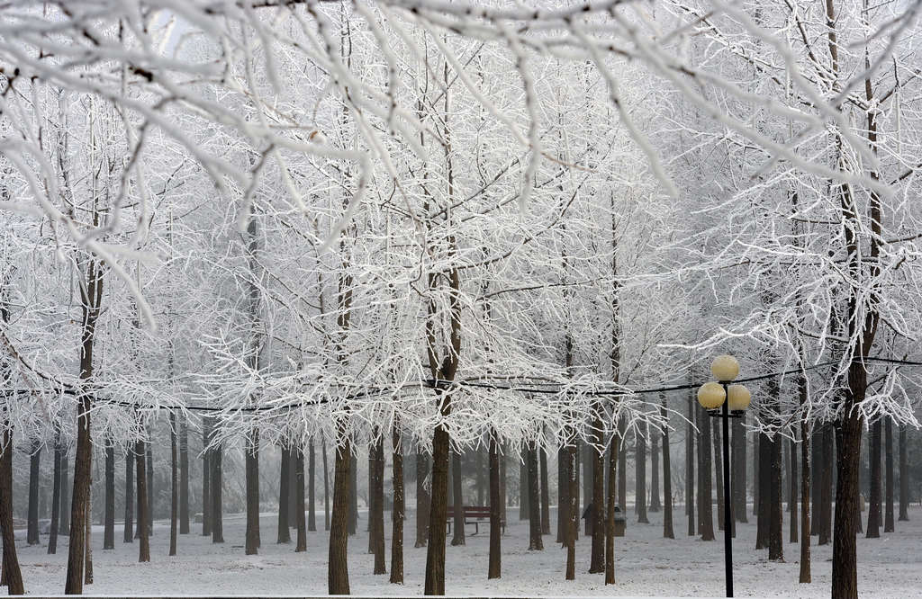 童话世界         濮上雪景
