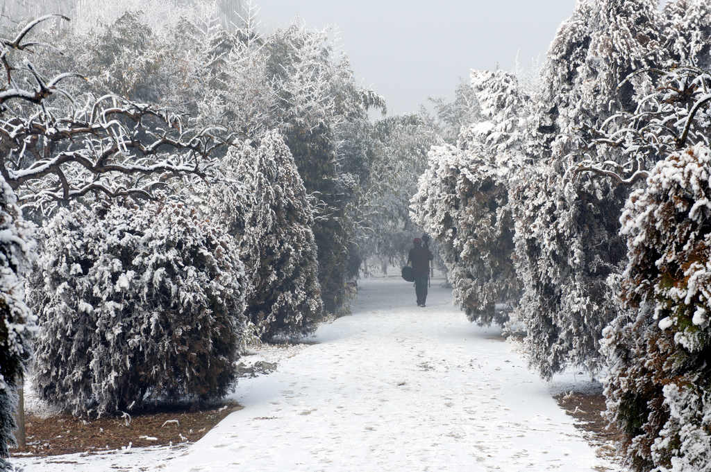 童话世界         濮上雪景
