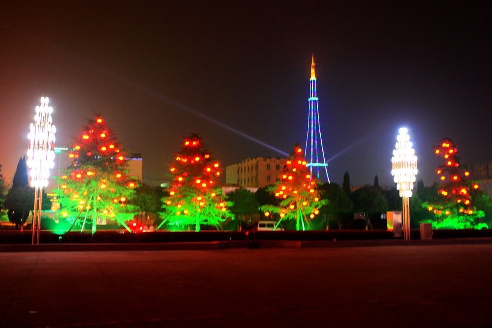 龙都春节夜景