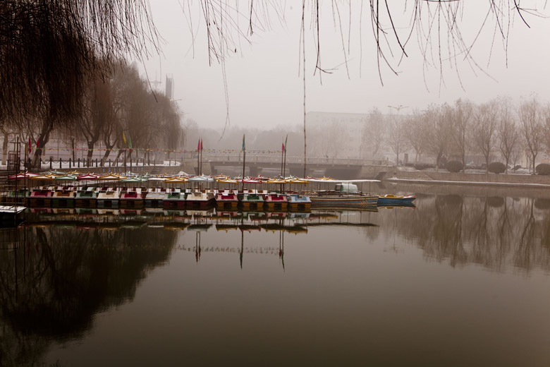 新蕾雪景