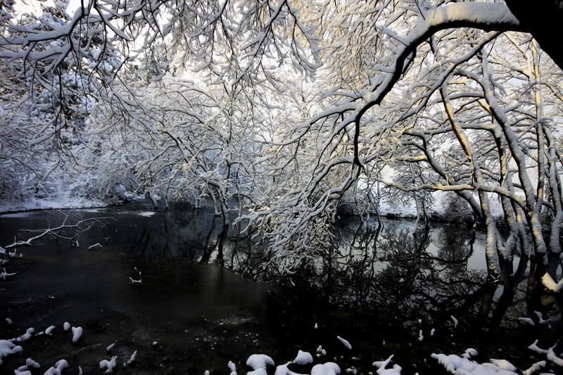 南方雪景也妖娆