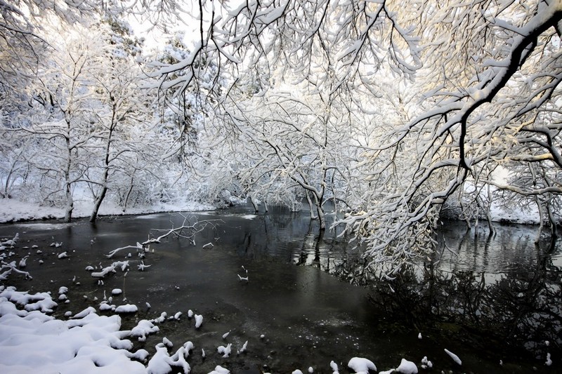 南方雪景也妖娆