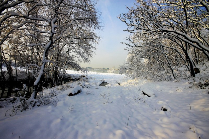 南方雪景也妖娆