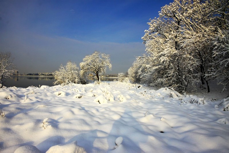 南方雪景也妖娆