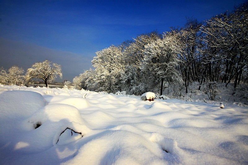 南方雪景也妖娆