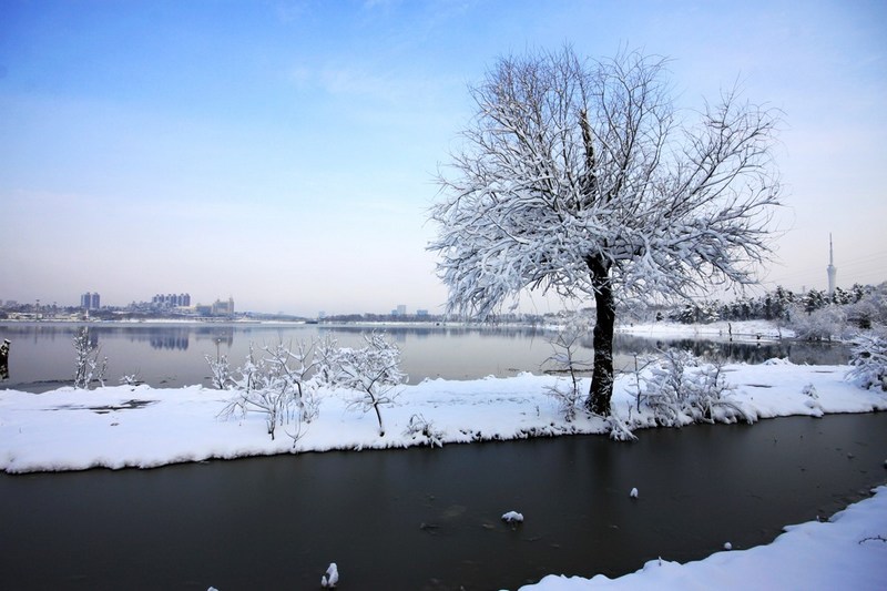 南方雪景也妖娆