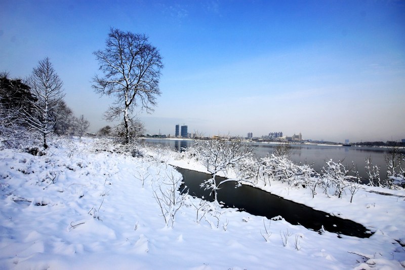 南方雪景也妖娆
