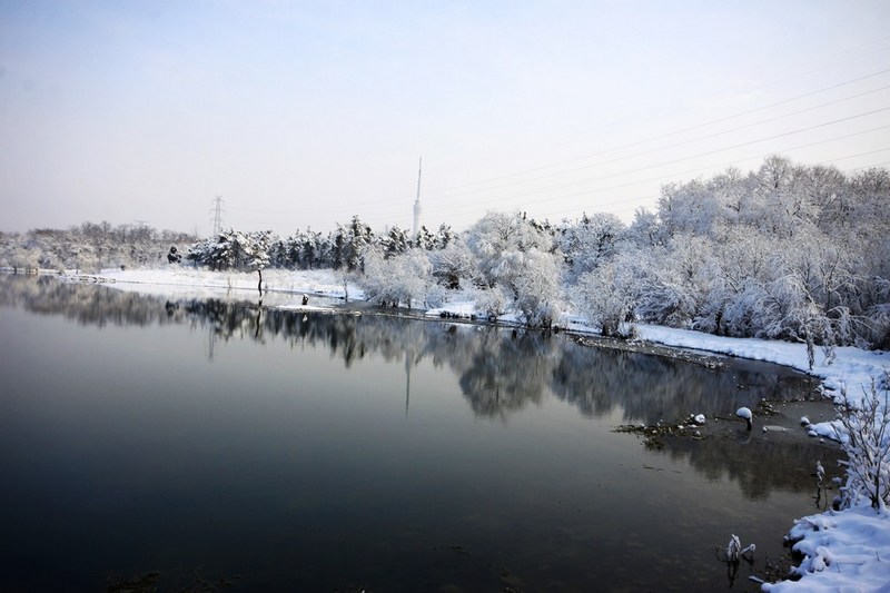 南方雪景也妖娆