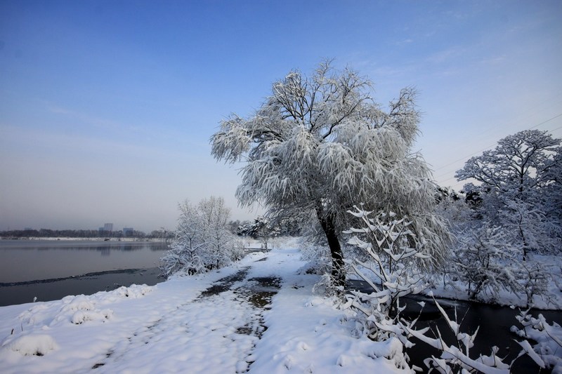 南方雪景也妖娆