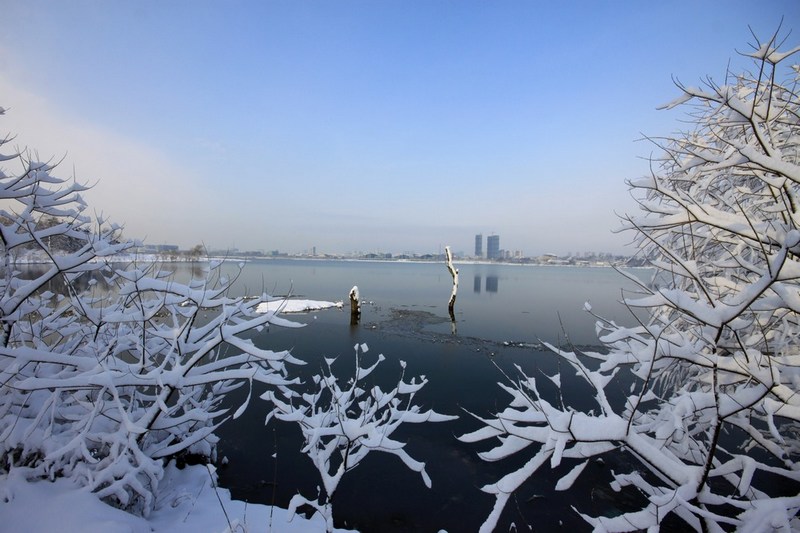 南方雪景也妖娆