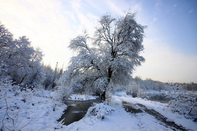 南方雪景也妖娆