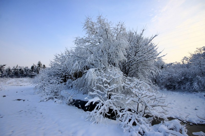 南方雪景也妖娆