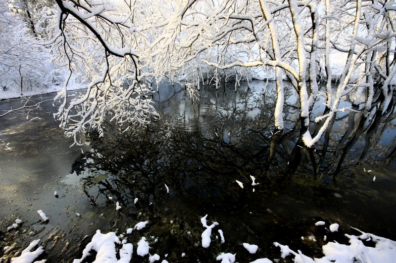南方雪景也妖娆