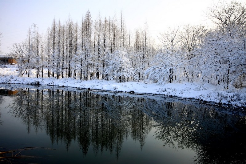 南方雪景也妖娆