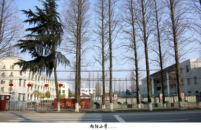 春节回江汉了，去了向阳小学、向阳中学，曾经学习并毕业的地方