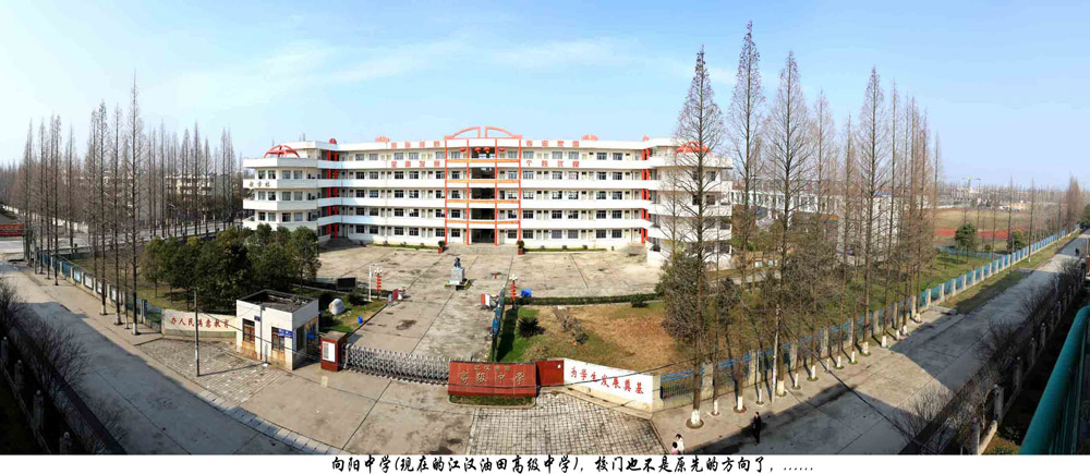 春节回江汉了，去了向阳小学、向阳中学，曾经学习并毕业的地方