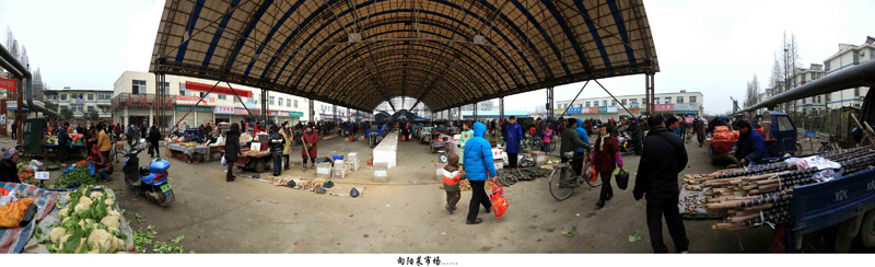 春节回江汉了，去了向阳小学、向阳中学，曾经学习并毕业的地方