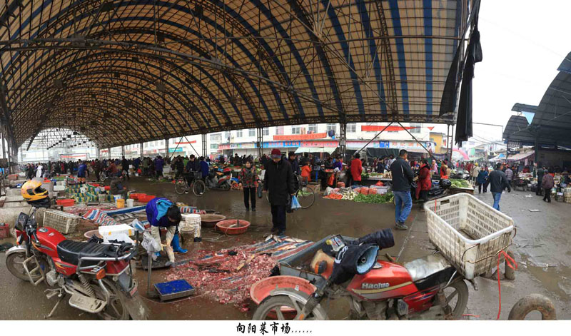 春节回江汉了，去了向阳小学、向阳中学，曾经学习并毕业的地方