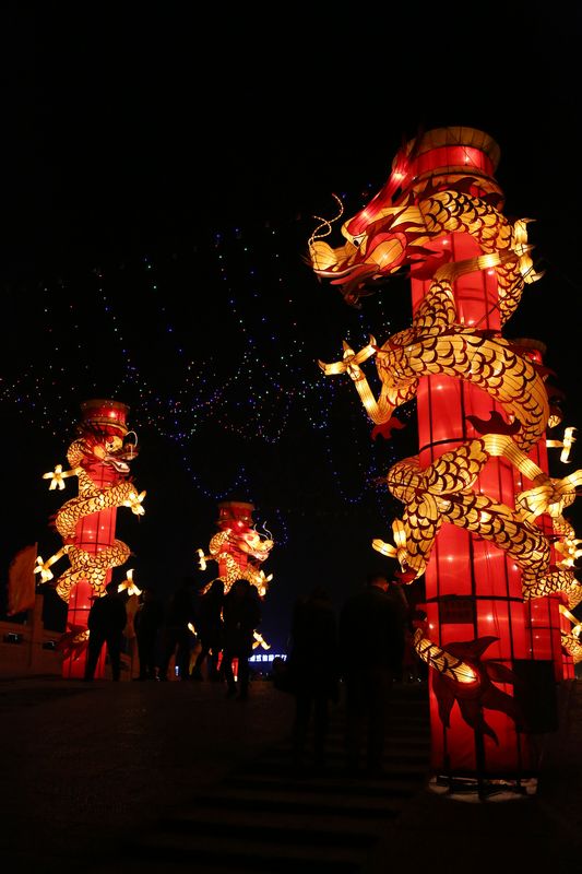 龙亭夜韵