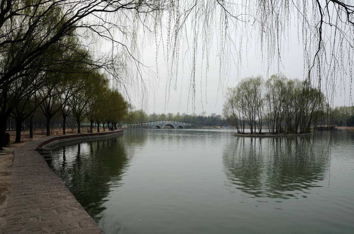 春到濮上园
