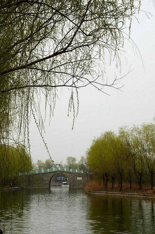 春到濮上园