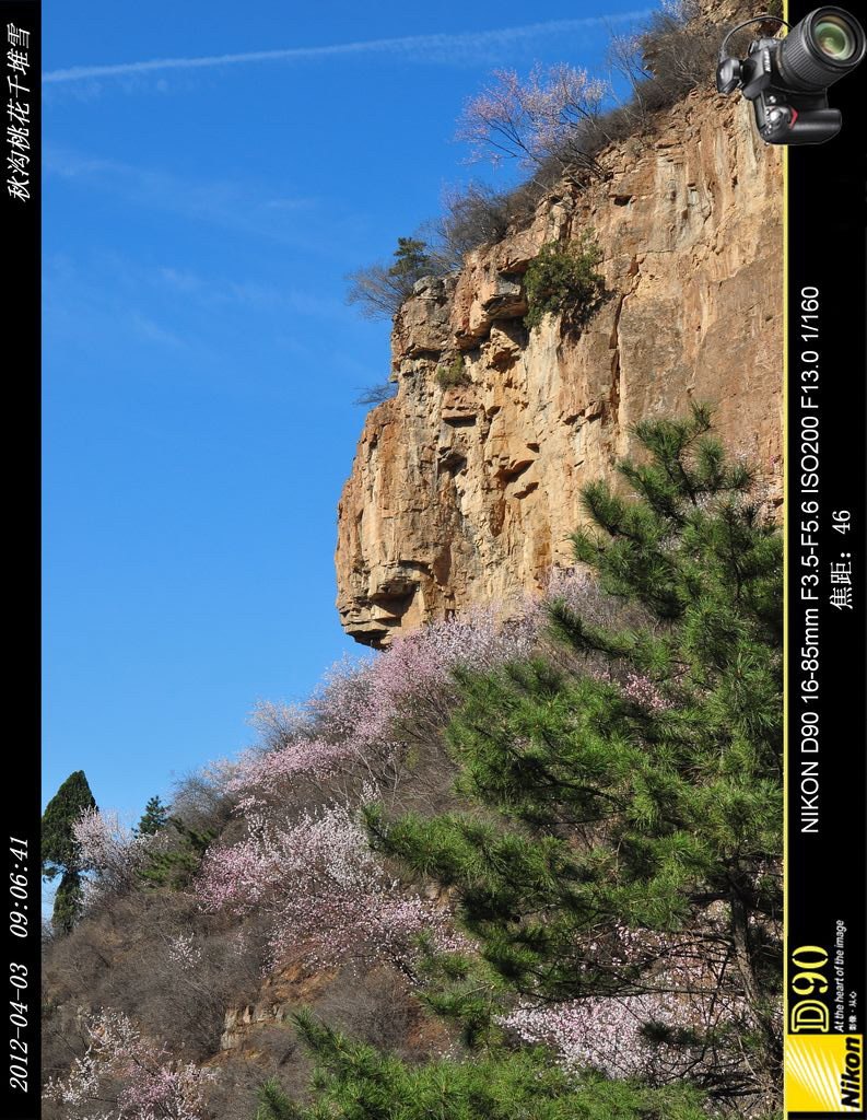 秋沟桃花千堆雪