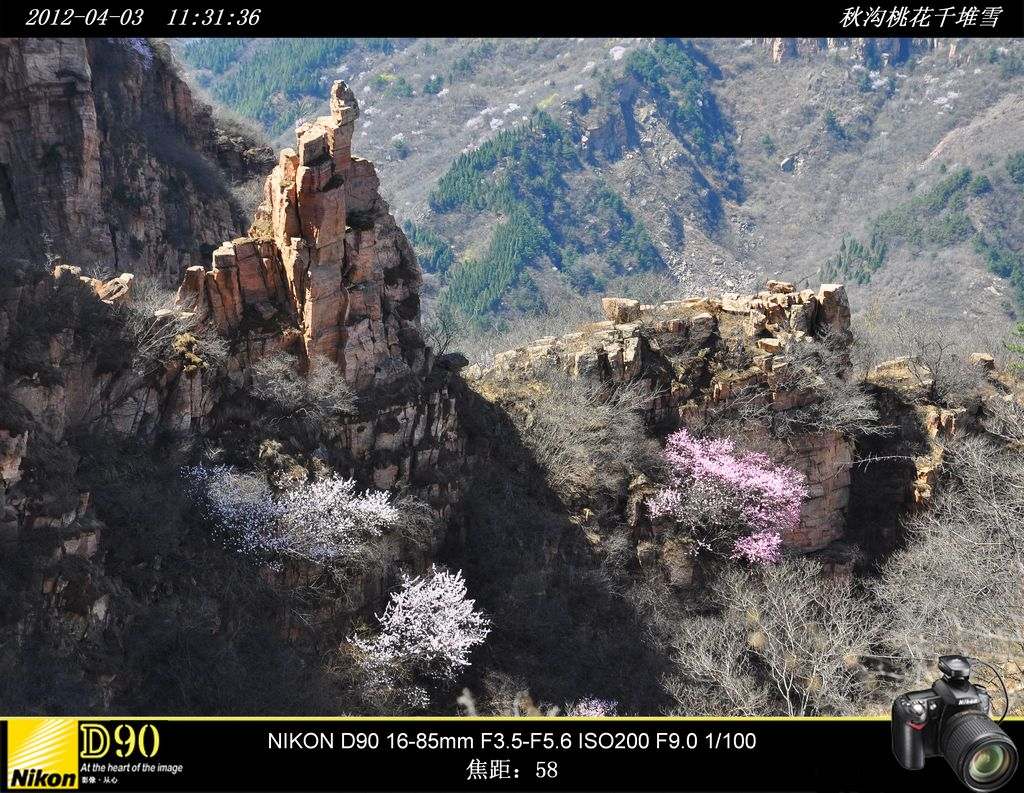 秋沟桃花千堆雪