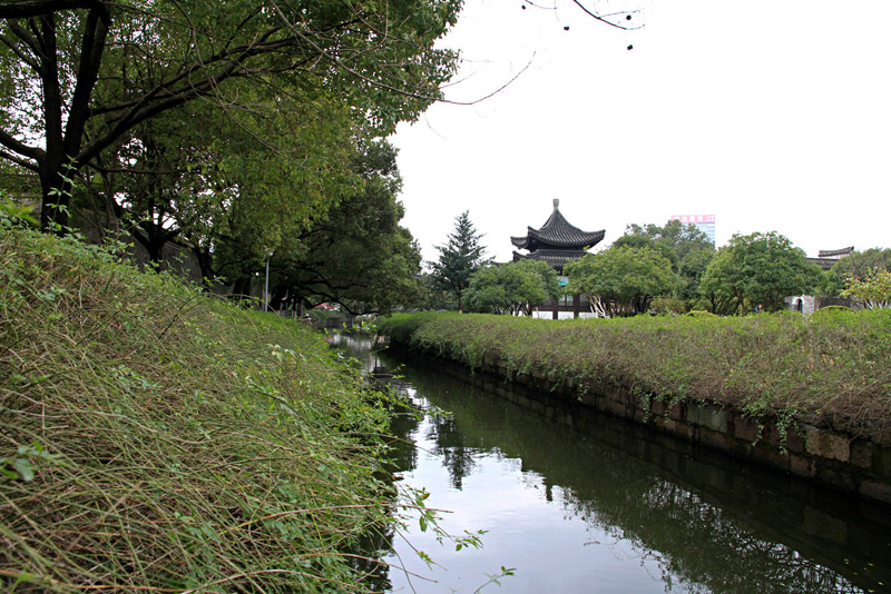 宁波的月湖公园---陌生