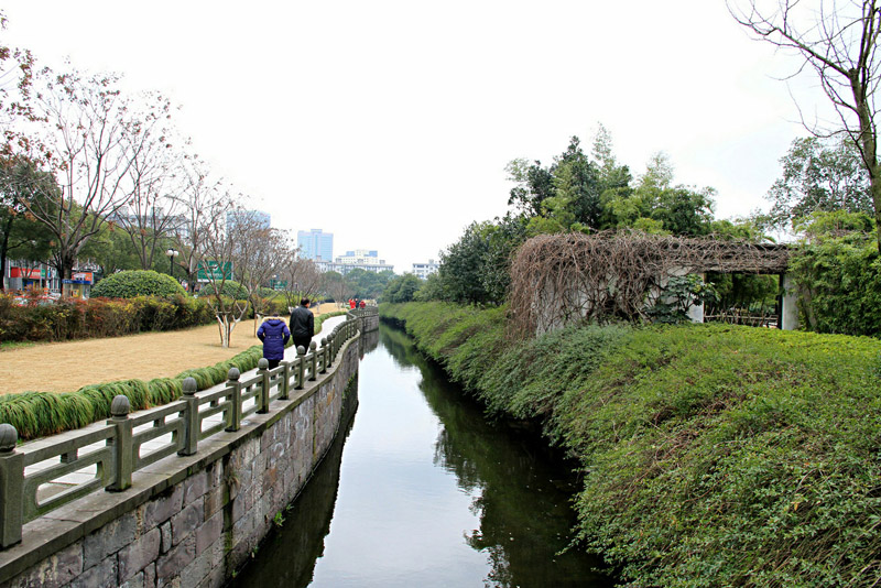 宁波的月湖公园---陌生