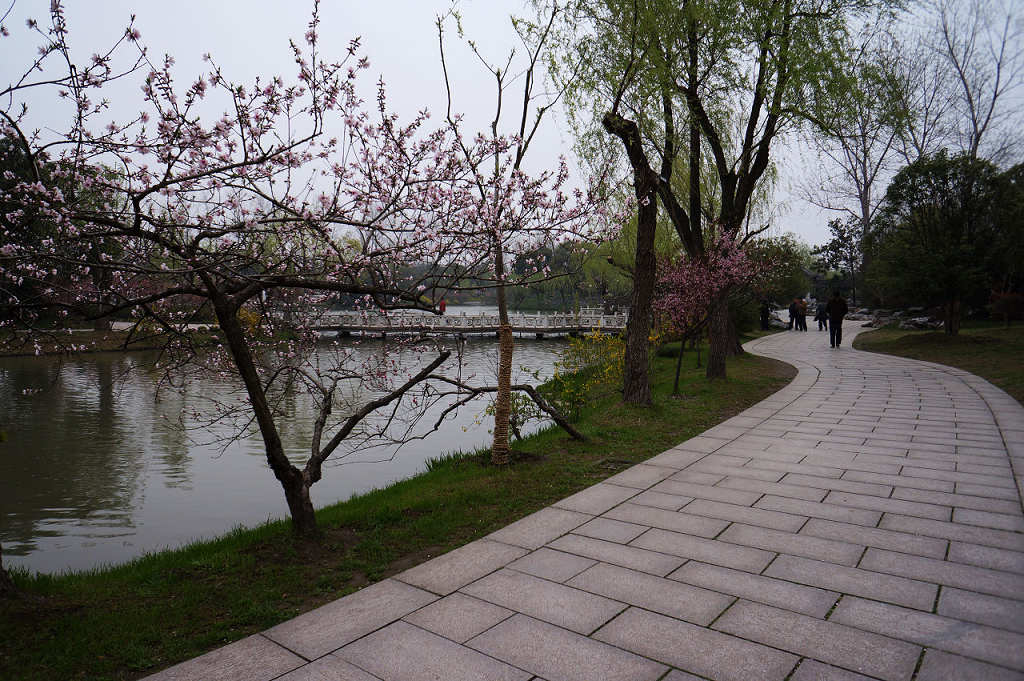 烟花三月瘦西湖
