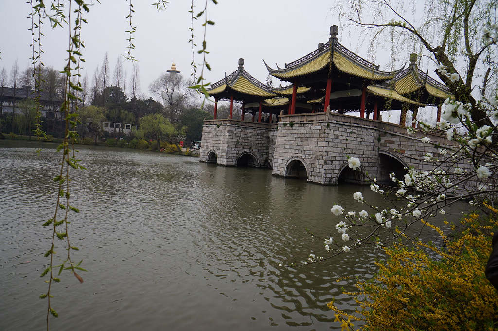 烟花三月瘦西湖