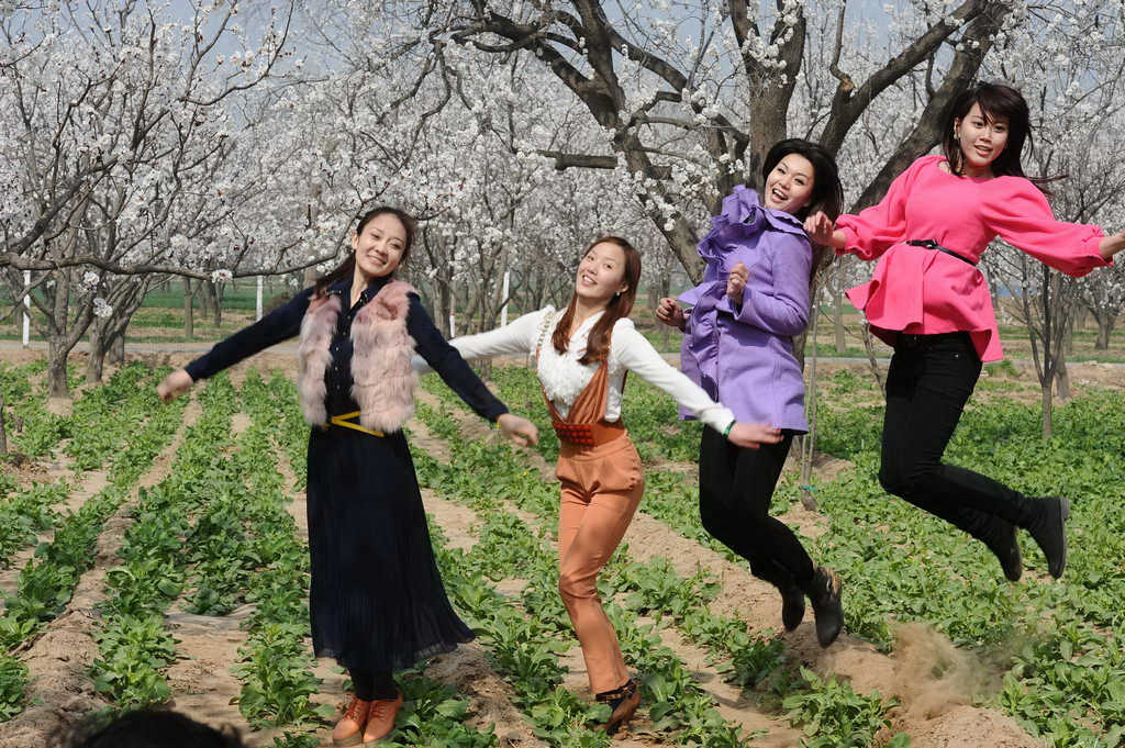花开时节
