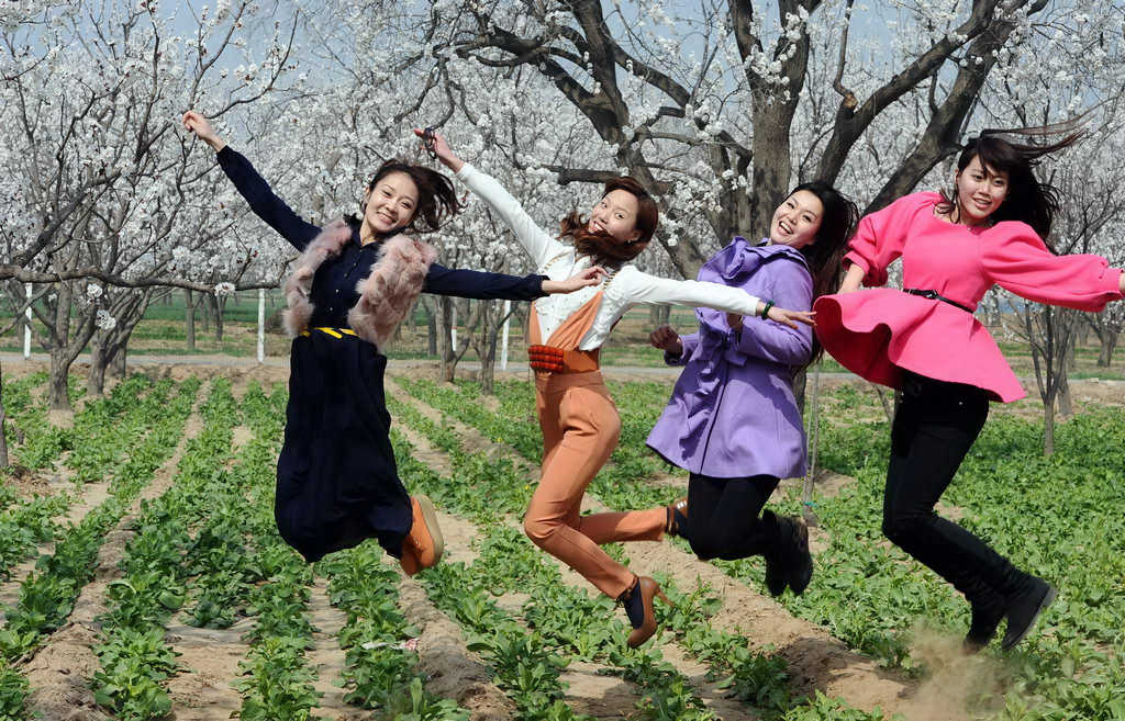 花开时节