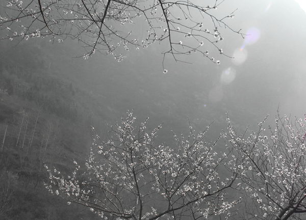 春暖花开