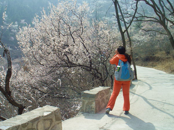 春暖花开