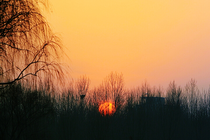 庄园小片