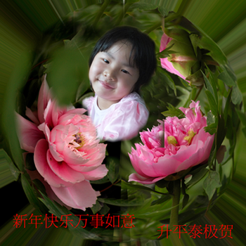 月季花